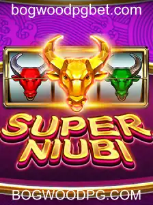 Explorando o Mundo de SuperNiubi: Uma Introdução e Guia Completo